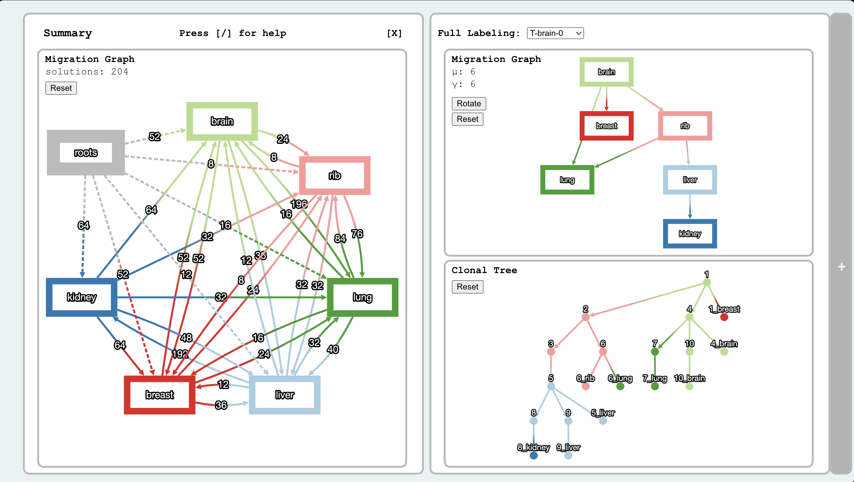 multi-root